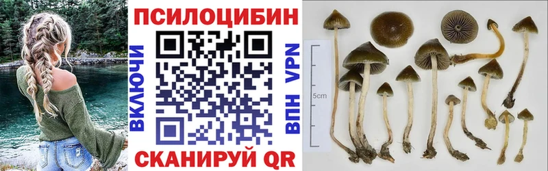 Псилоцибиновые грибы Cubensis  Вяземский 